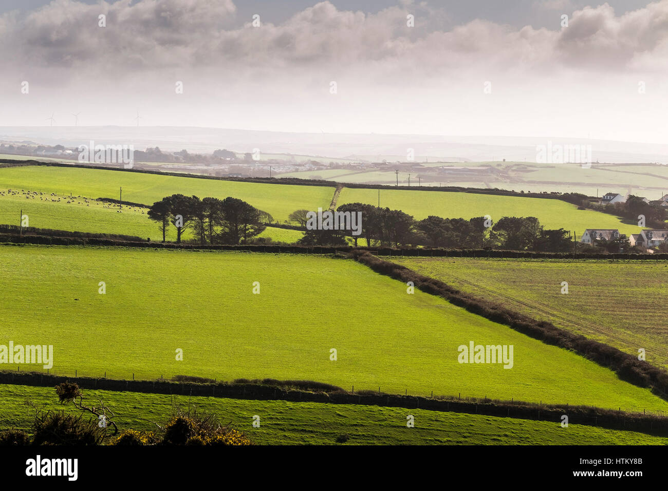 Farmland Pentire Headland Cornwall Stock Photo Alamy