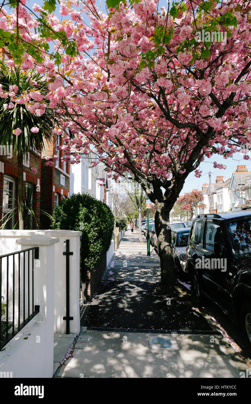 Pink House England Bright Stock Photos &amp; Pink House ...