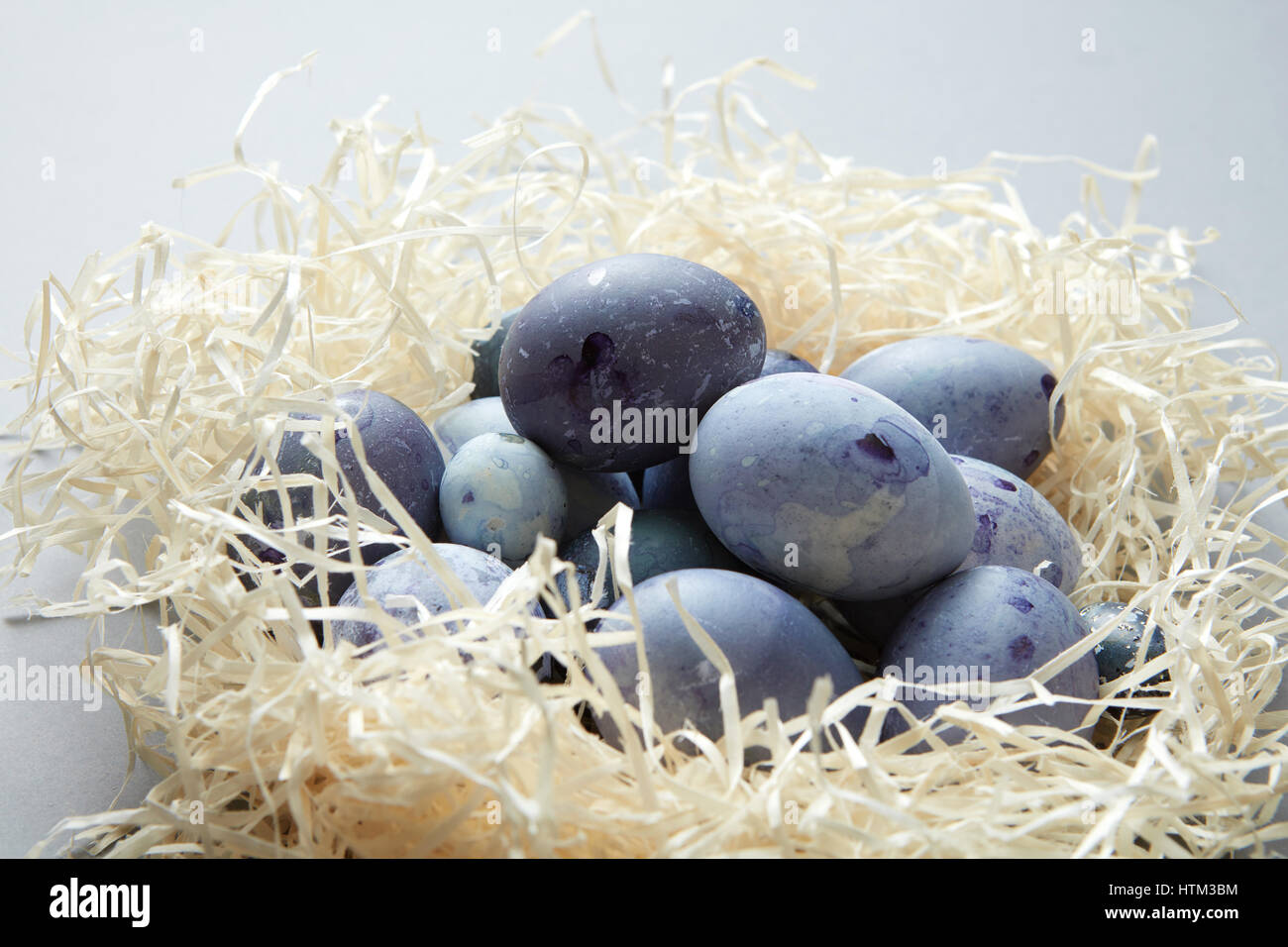 Painted Easter eggs in a nest on light blue background Stock Photo - Alamy