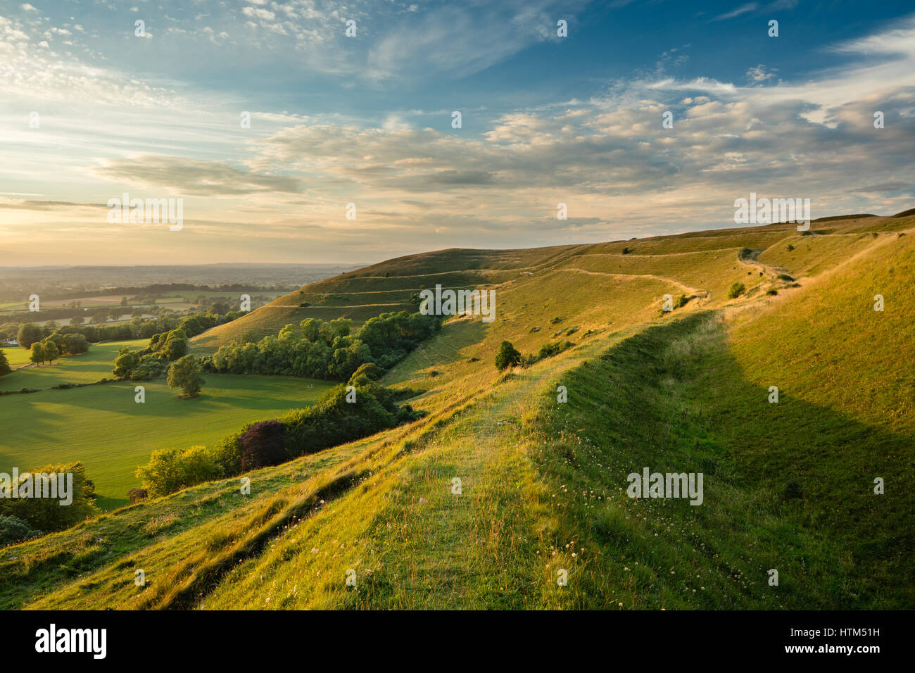 The Ramparts Of The Iron Age Hill Fort Of Hambledon Hill Nr Blandford the-ramparts-of-the-iron-age-hill-fort-of-hambledon-hill-nr-blandford