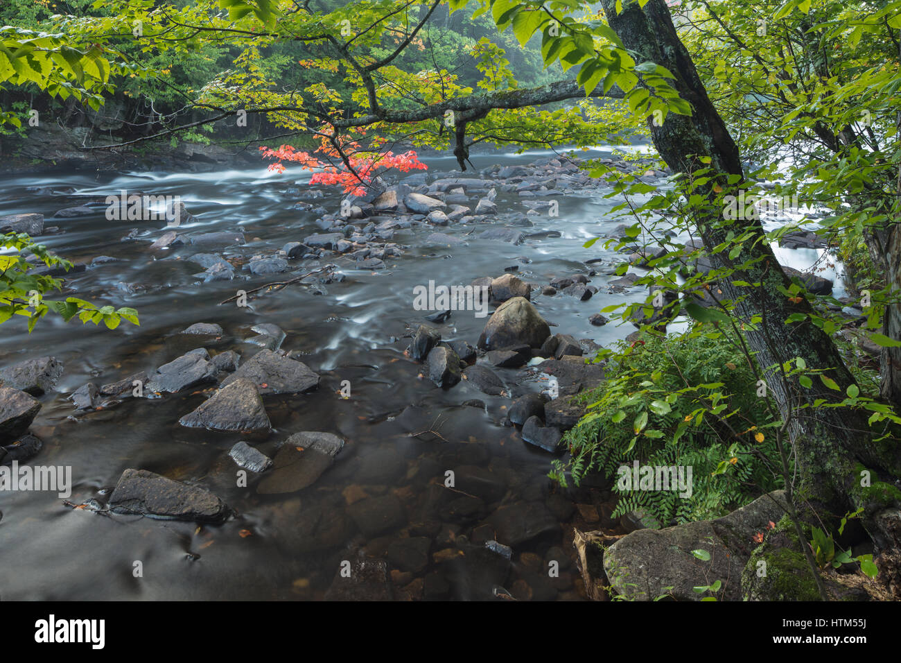 Autumn colours along the Oxtongue River, Oxtongue Rapids Park, Ontario, Canada Stock Photo