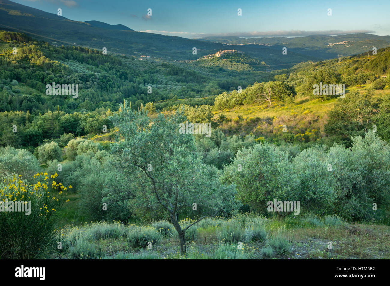 Seggiano, Province of Grosseto, Tuscany, Italy Stock Photo