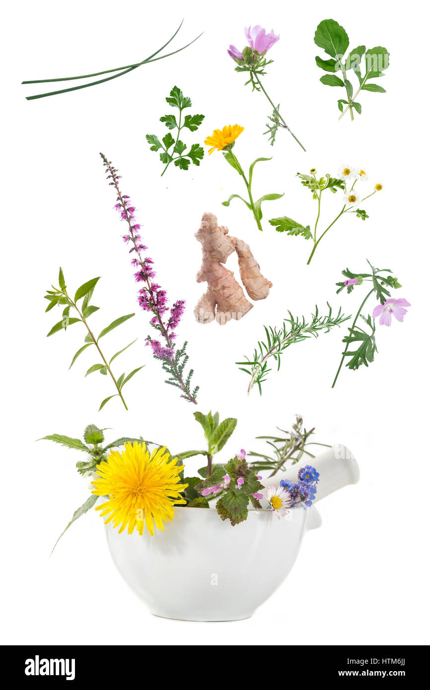 Healing herbs in mortar. Alternative medicine concept Stock Photo
