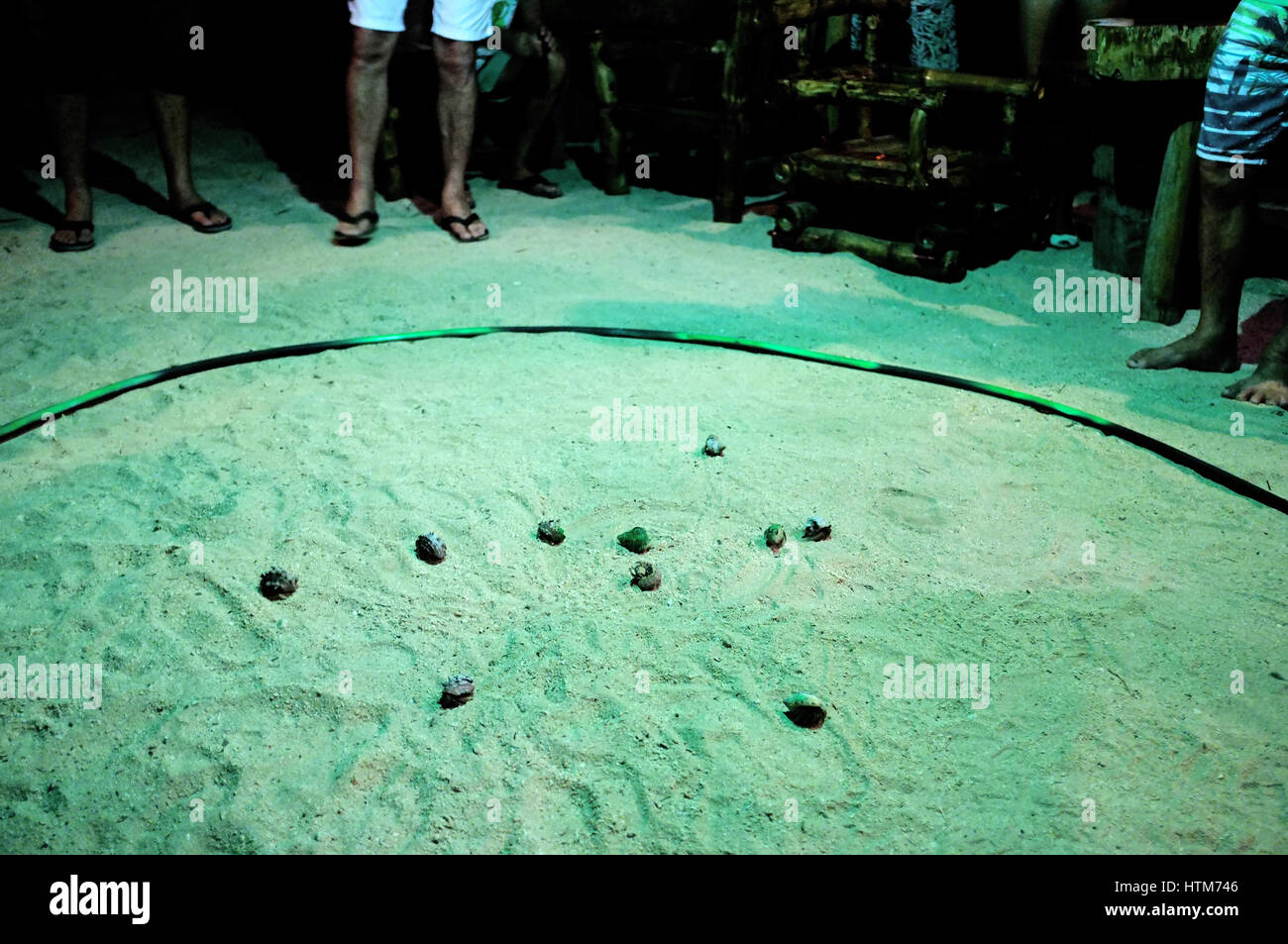 Hermit Crab Race pictured in Siquijor, Philippines. Stock Photo