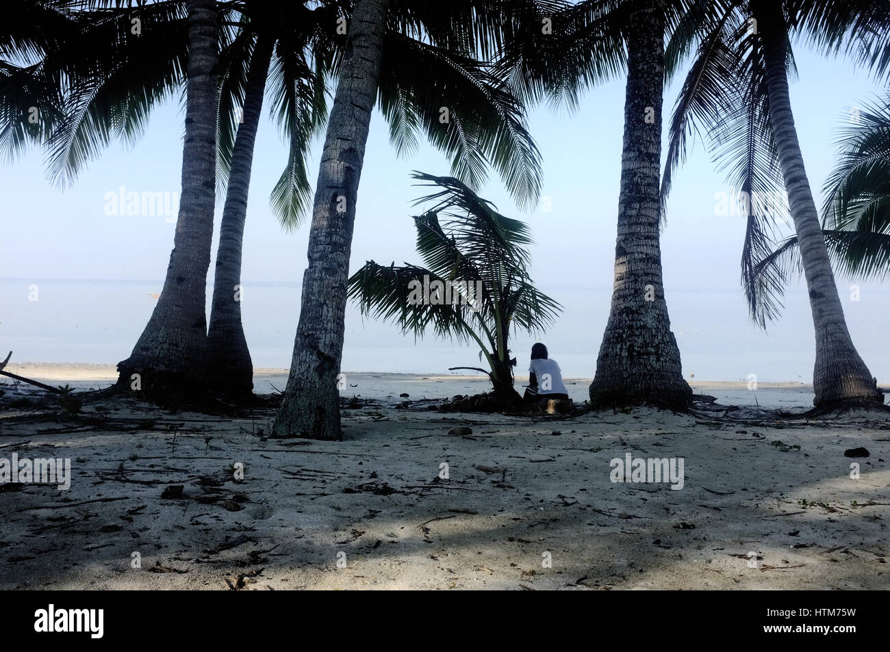 Palm trees at a beach in Siquijor, Philippines. Stock Photo