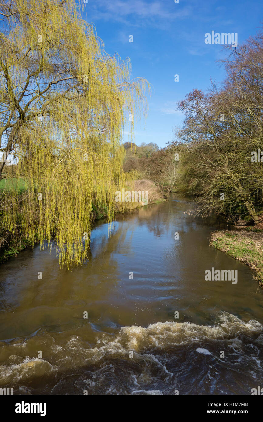 Weeping willow tree and water hi-res stock photography and images - Alamy