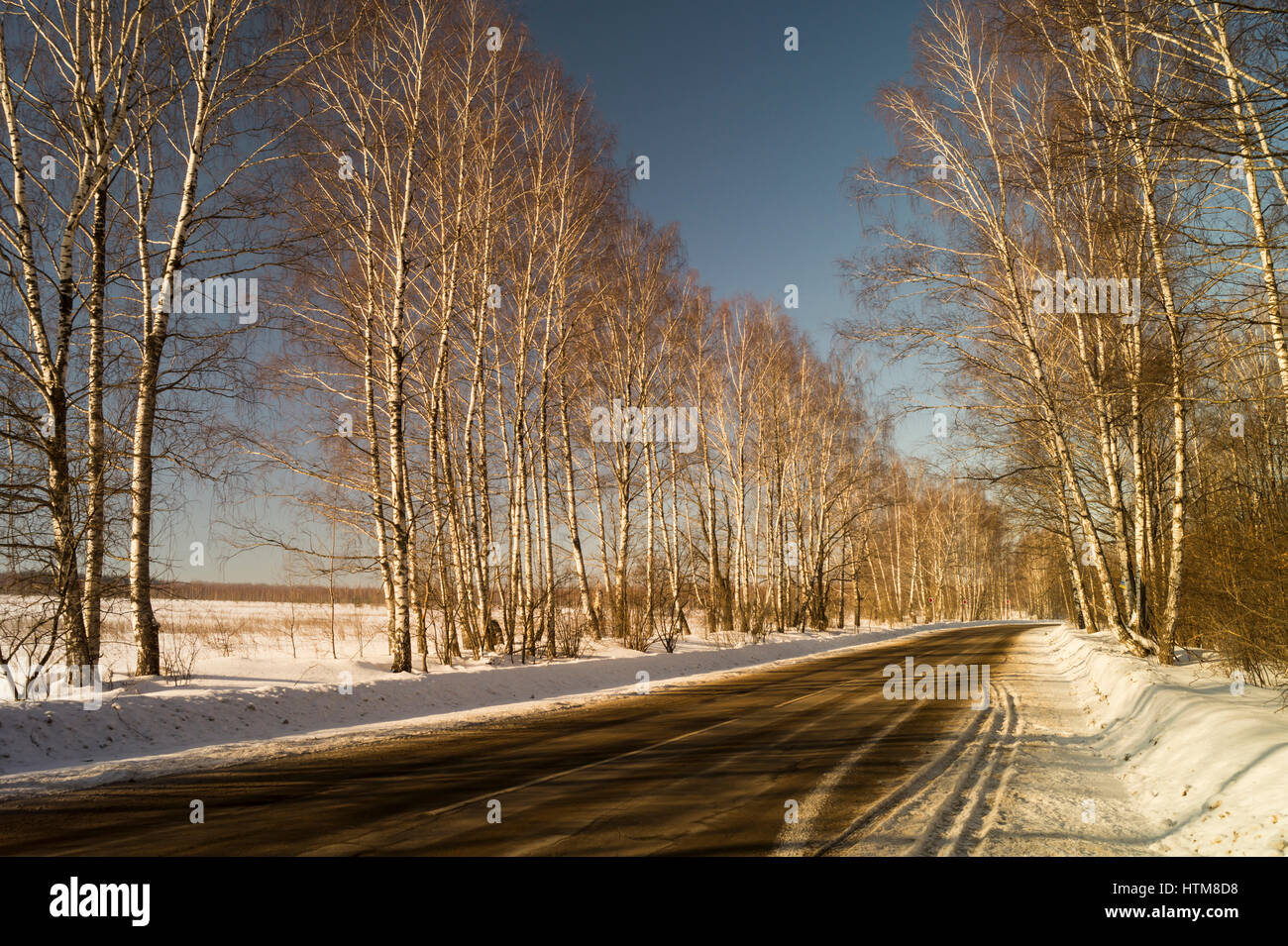 Winter landscape with birch by grove on background blue sky Stock Photo ...