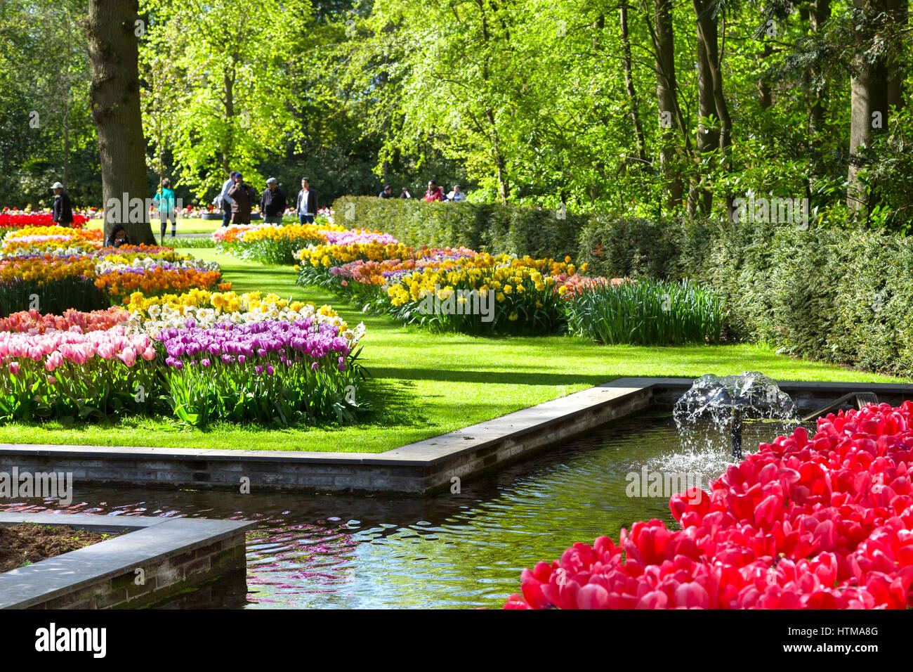 Keukenhof park in netherlands hi-res stock photography and images - Alamy