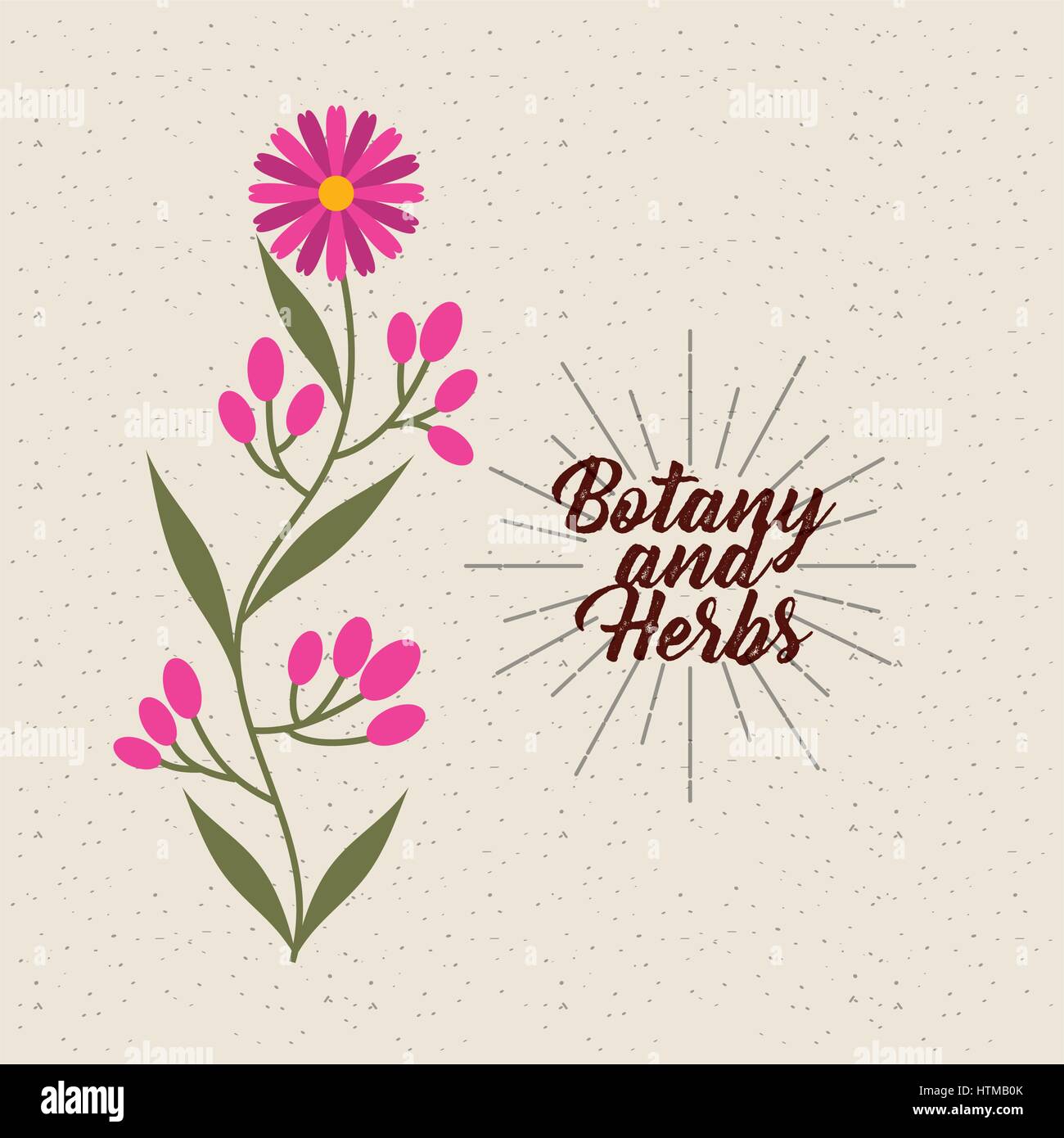 botany and herbs design Stock Vector Image & Art - Alamy