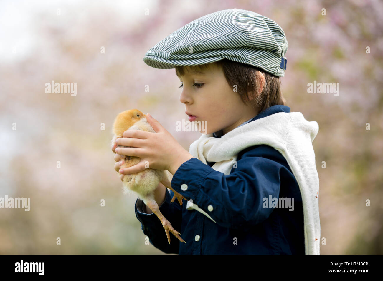 Boy playing with chicken hi-res stock photography and images - Page 8 -  Alamy