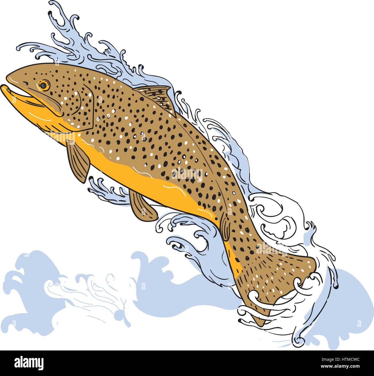 Drawing sketch style illustration of a brown trout fish swimming up on a turbulent water viewed from the side set on isolated white background. Stock Vector