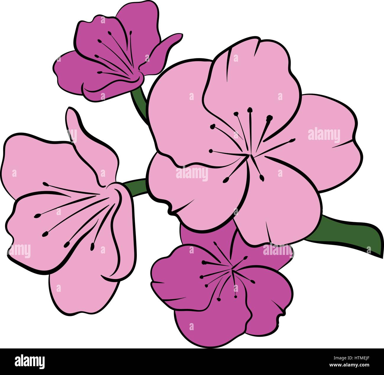 Sakura icon cartoon Stock Vector Image & Art - Alamy