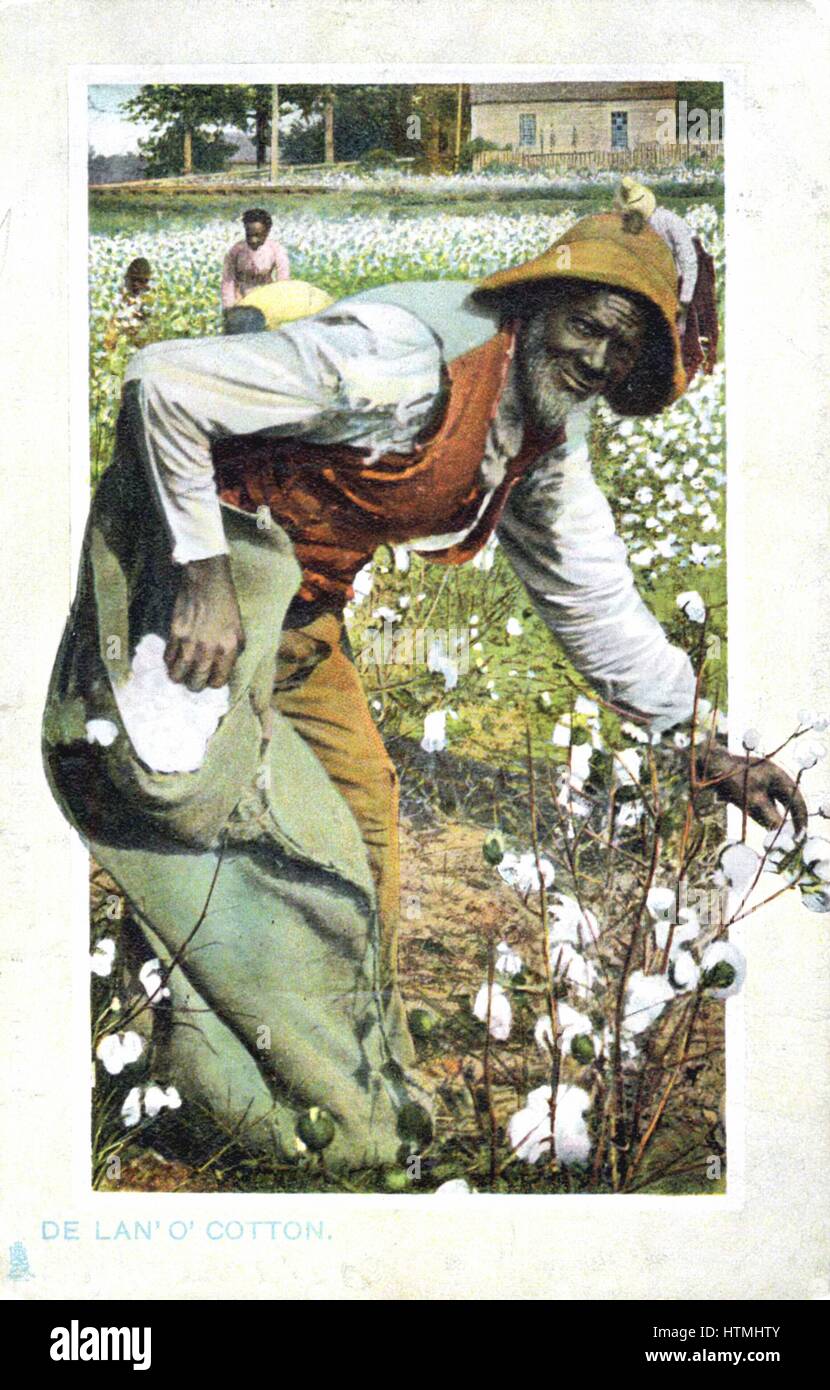 Picking cotton hires stock photography and images Alamy