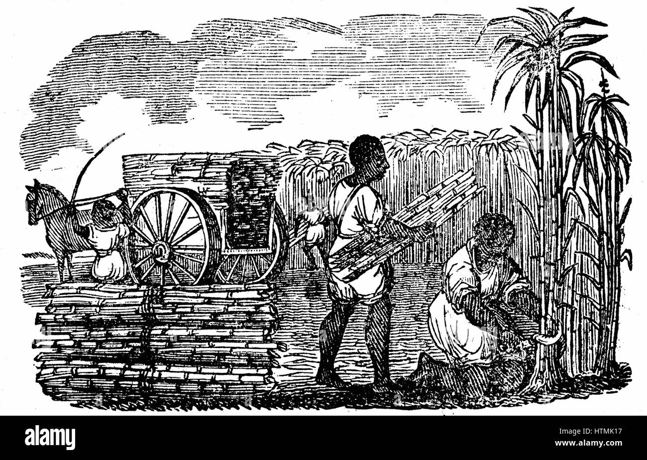 Slaves in tobacco plantation, Virginia. Woodcut from 'Scenes of American Wealth and Industry' Boston 1833. Woodcut Stock Photo
