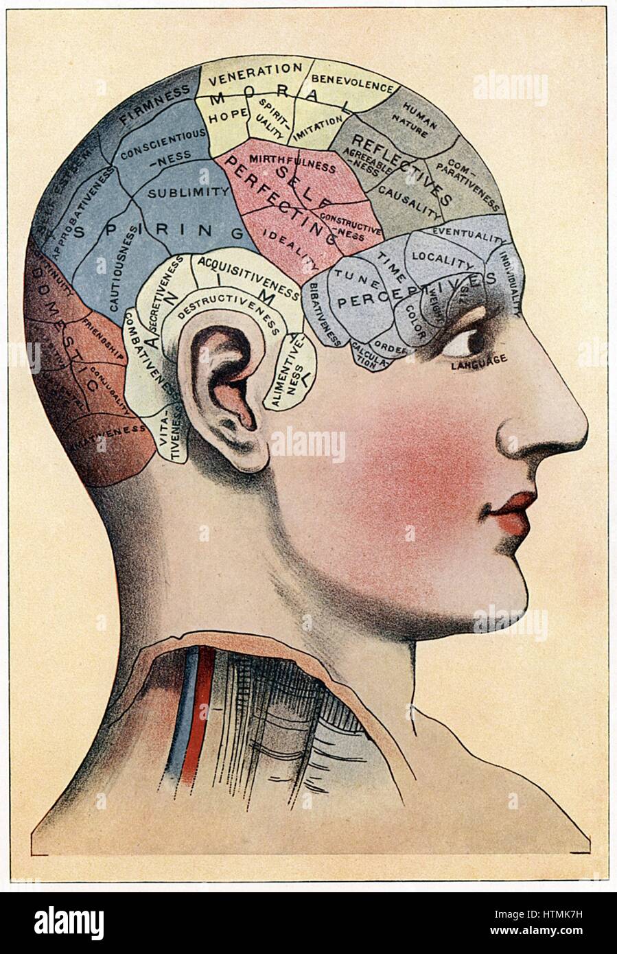 Phrenology | Psychology Wiki | Fandom