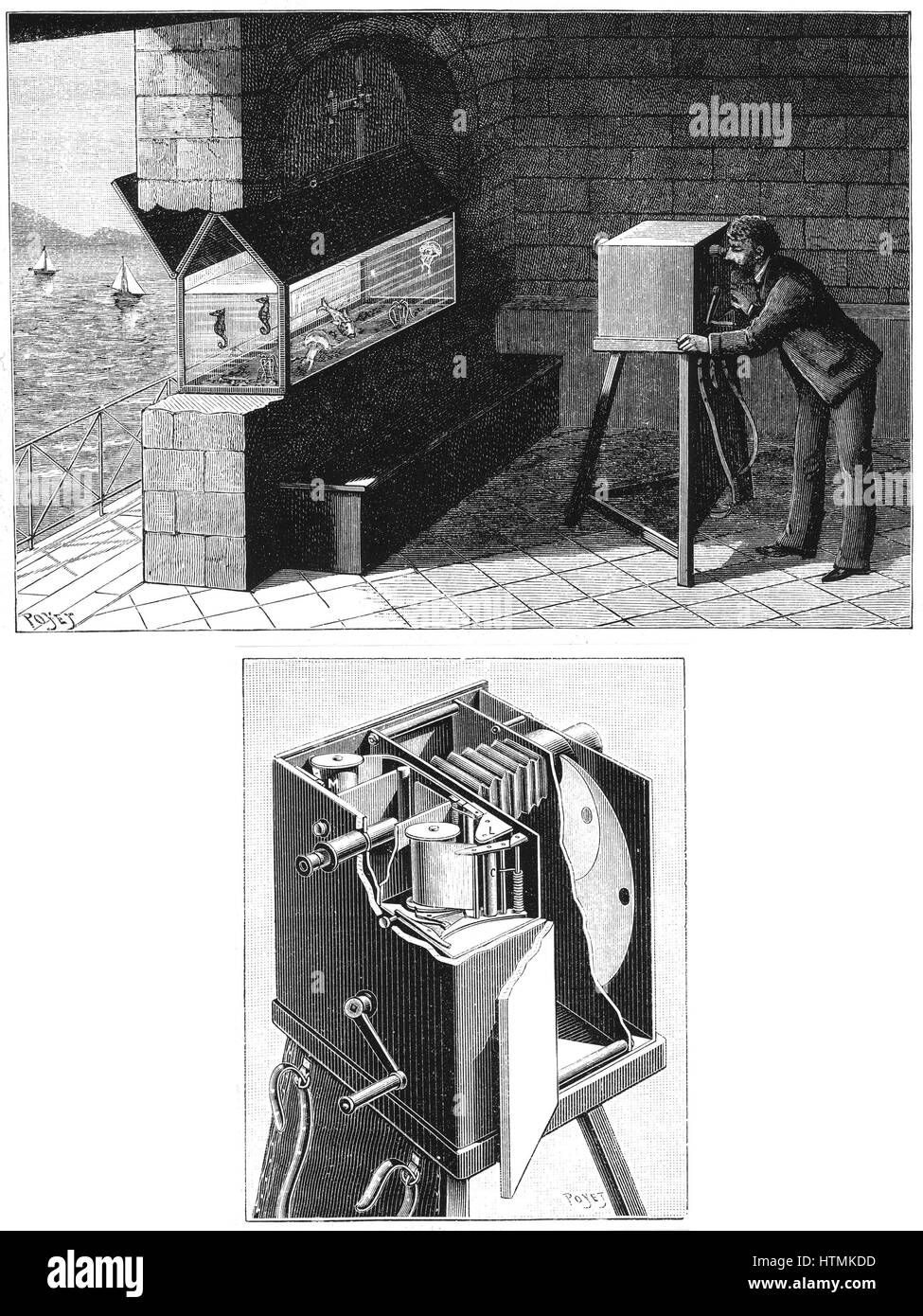 Etienne Jules Marey's (1830-1903) chambre chrono-photographique, the first cine-camera, being used to study movement of creatures in aquarium (top). Below, camera detail, showing ribbon of light-sensitive paper by either Eastman or Balagny. Engraving pub Stock Photo
