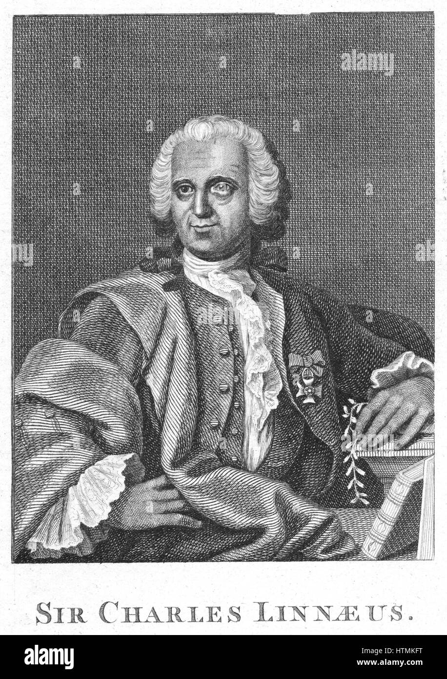 Linnaeus (Carl von Linne - 1707-1778) Swedish naturalist, holding a sprig of Linnea borealis. Engraving Stock Photo