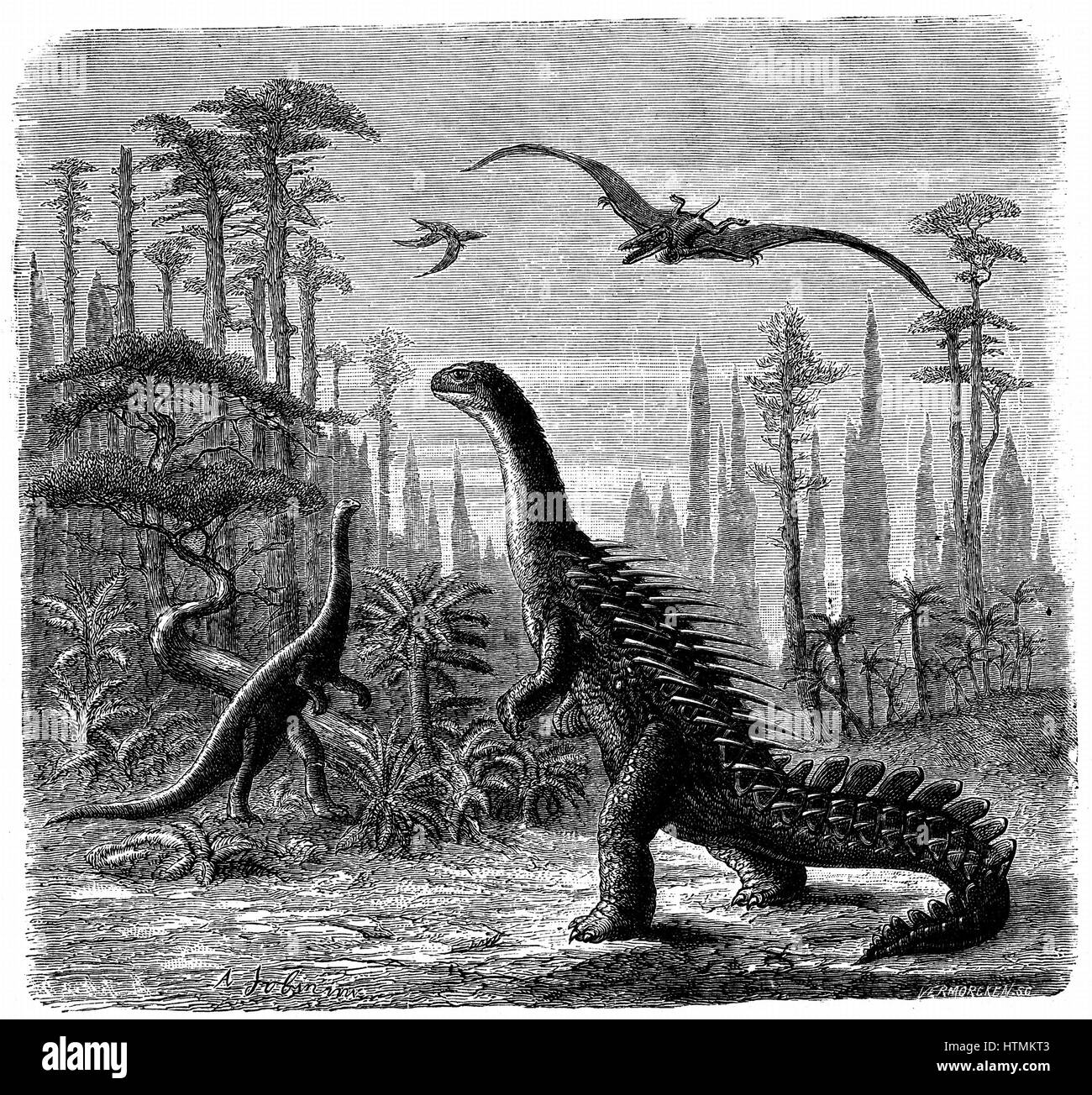 Idea American landscape during the Jurassic epoch (based on Prof. Othniel Marsh): Stegosaurus, Compsonotus (left) and Pterodactyls. From 'Scientific American', 29 November 1884. Engraving Stock Photo