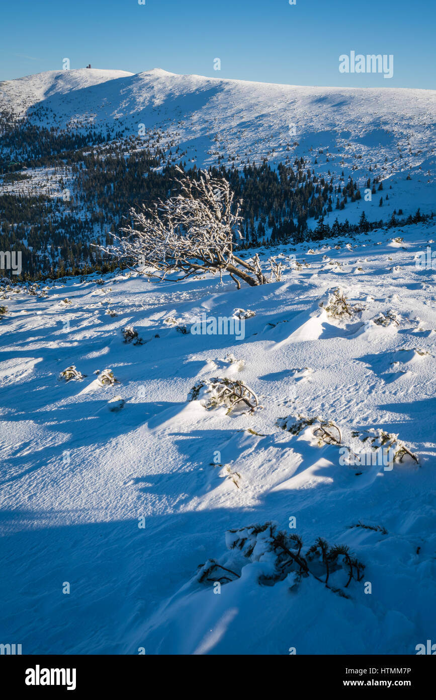 Winter landscape of a Karkonosze mountains as seen from the Szrenica mountain, Poland Stock Photo
