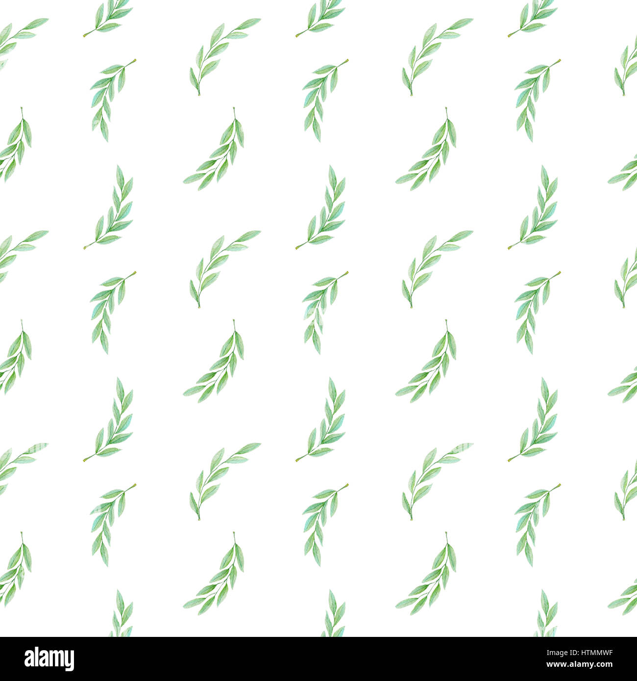 Watercolor hand drawn olive branch on a white background Stock Photo ...