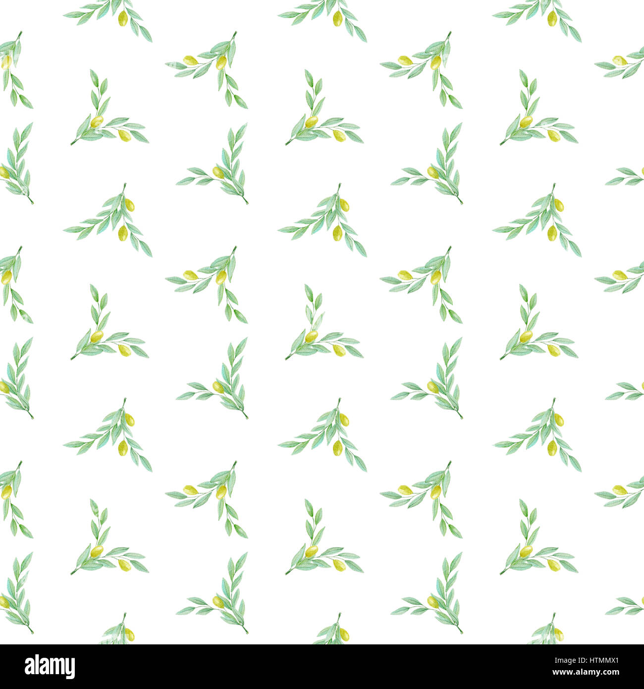 Hand drawn watercolor olive branch with green olives on a white ...