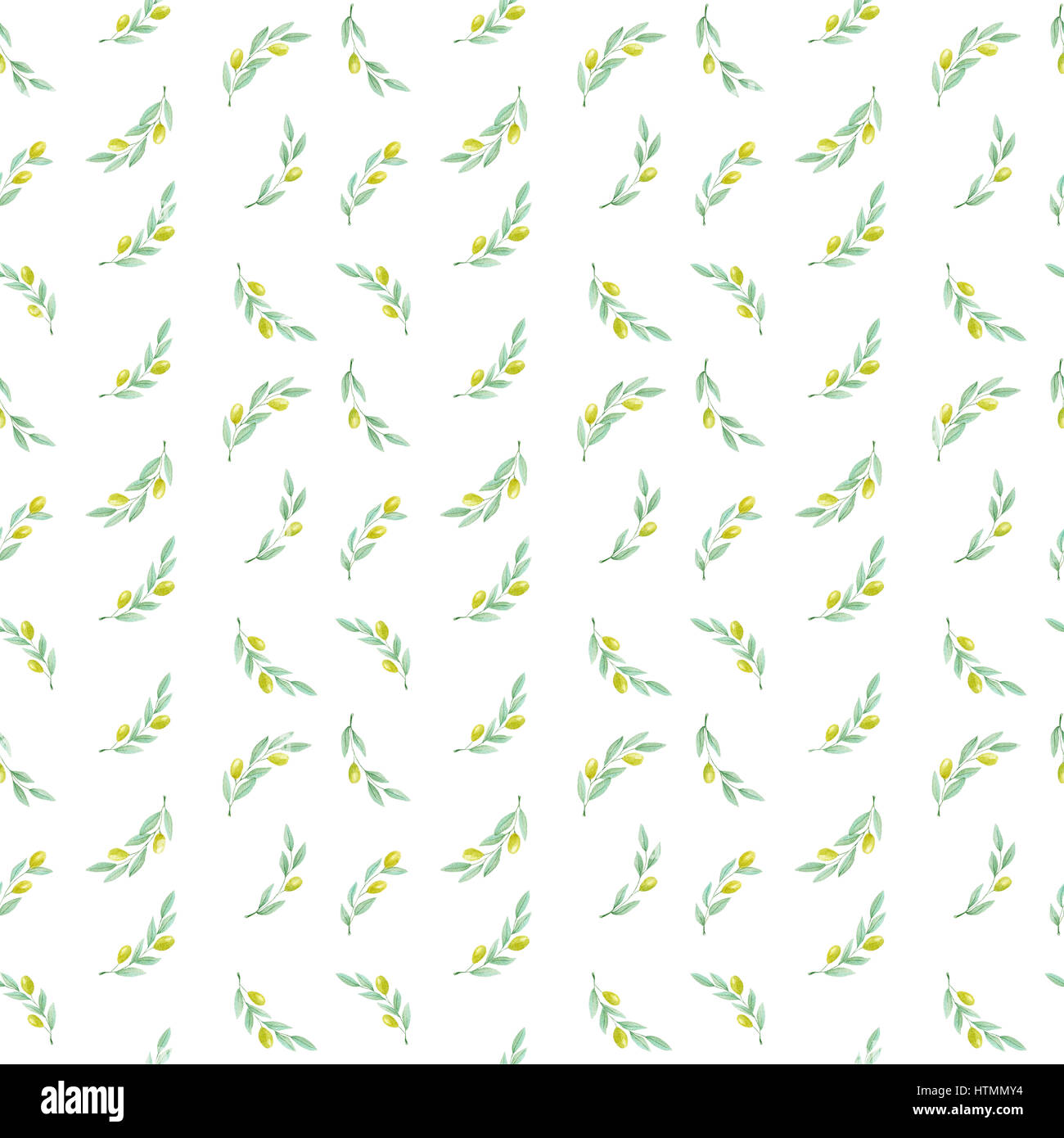 Watercolor hand drawn olive branch with green olives on a white ...