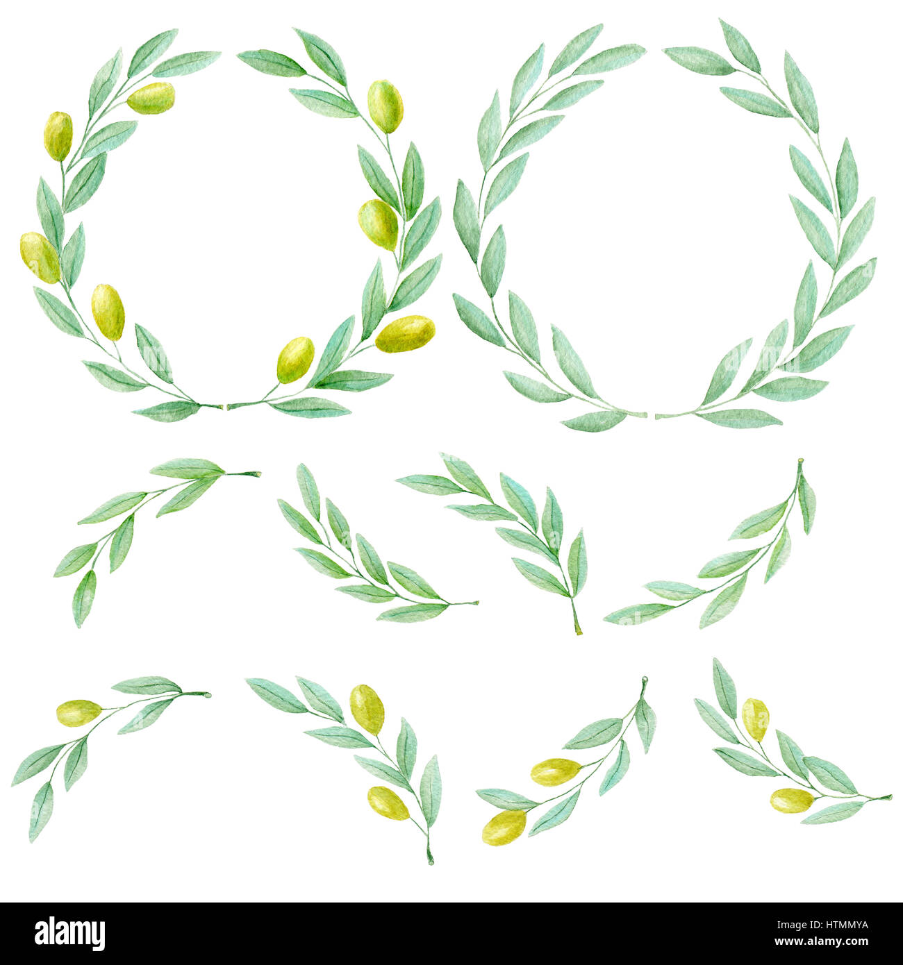 Set of watercolor hand drawn green olive branch on white background ...
