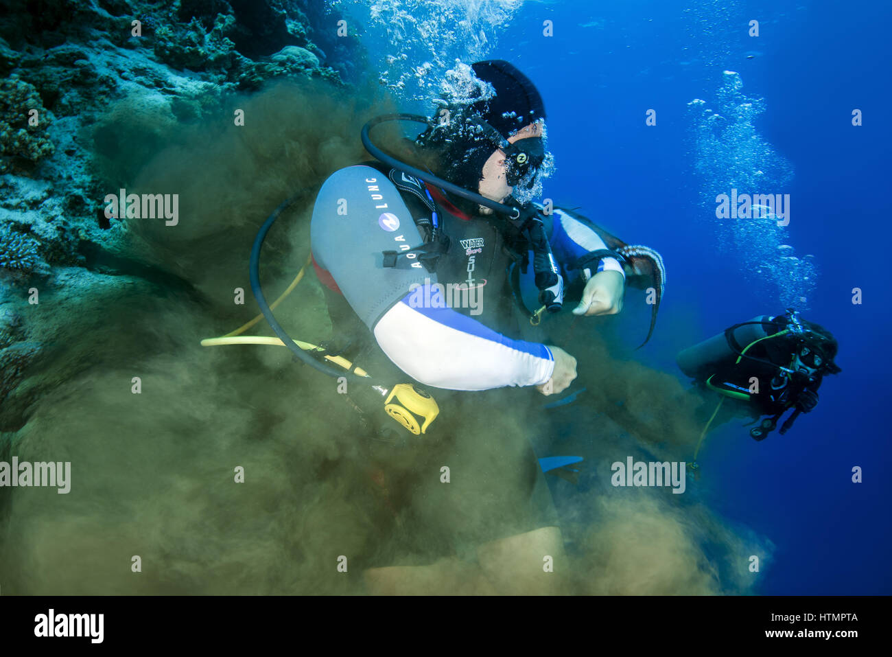 Poacher male scuba diver caught with an big blue octopus (Octopus