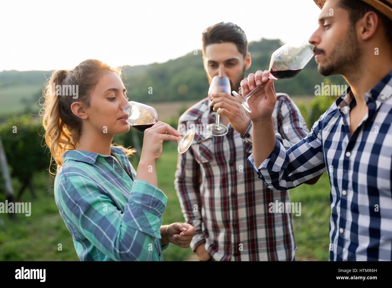 Happy people tasting wine in vineyard Stock Photo - Alamy