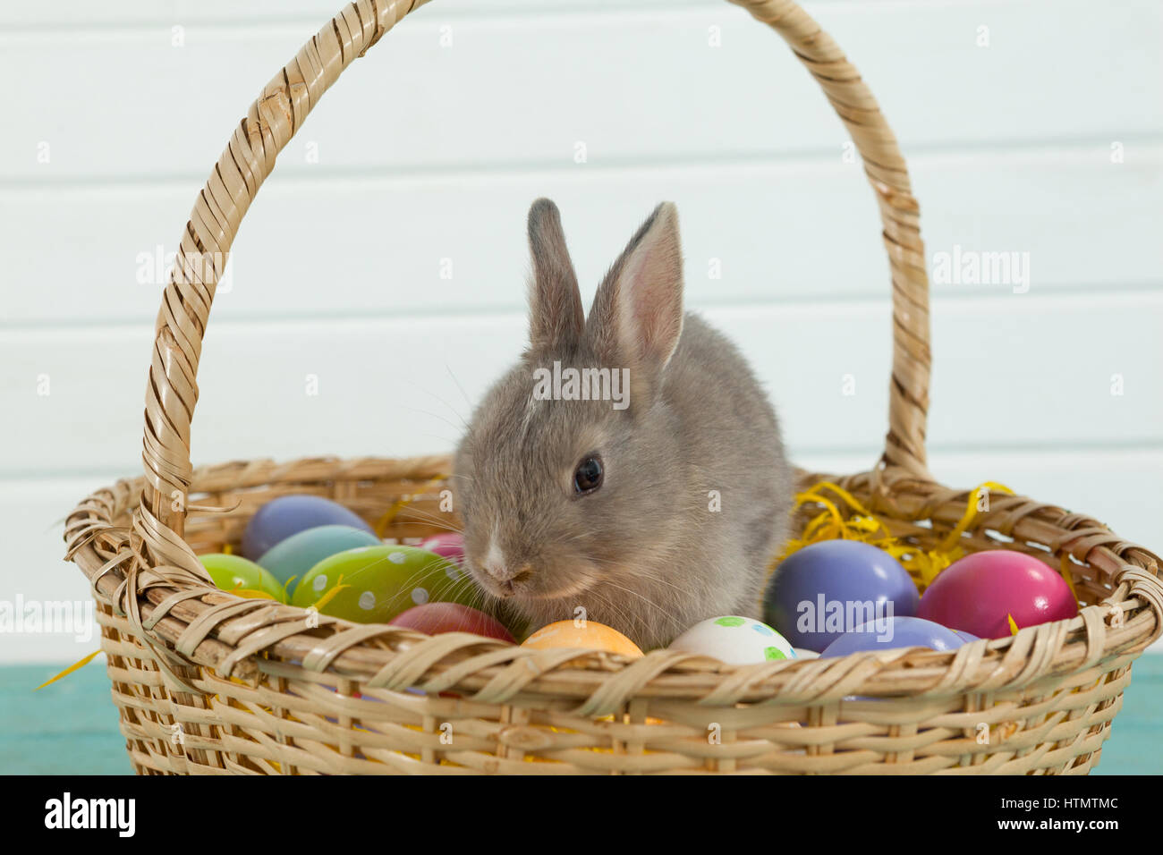 Colorful Easter eggs and Easter bunny sitting in wicker basket Stock ...