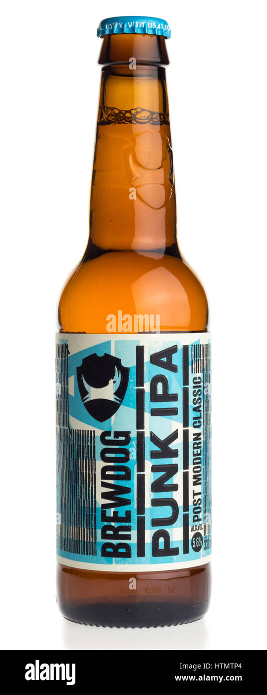 Bottle of Scottish Brewdog Punk IPA beer isolated on a white background Stock Photo