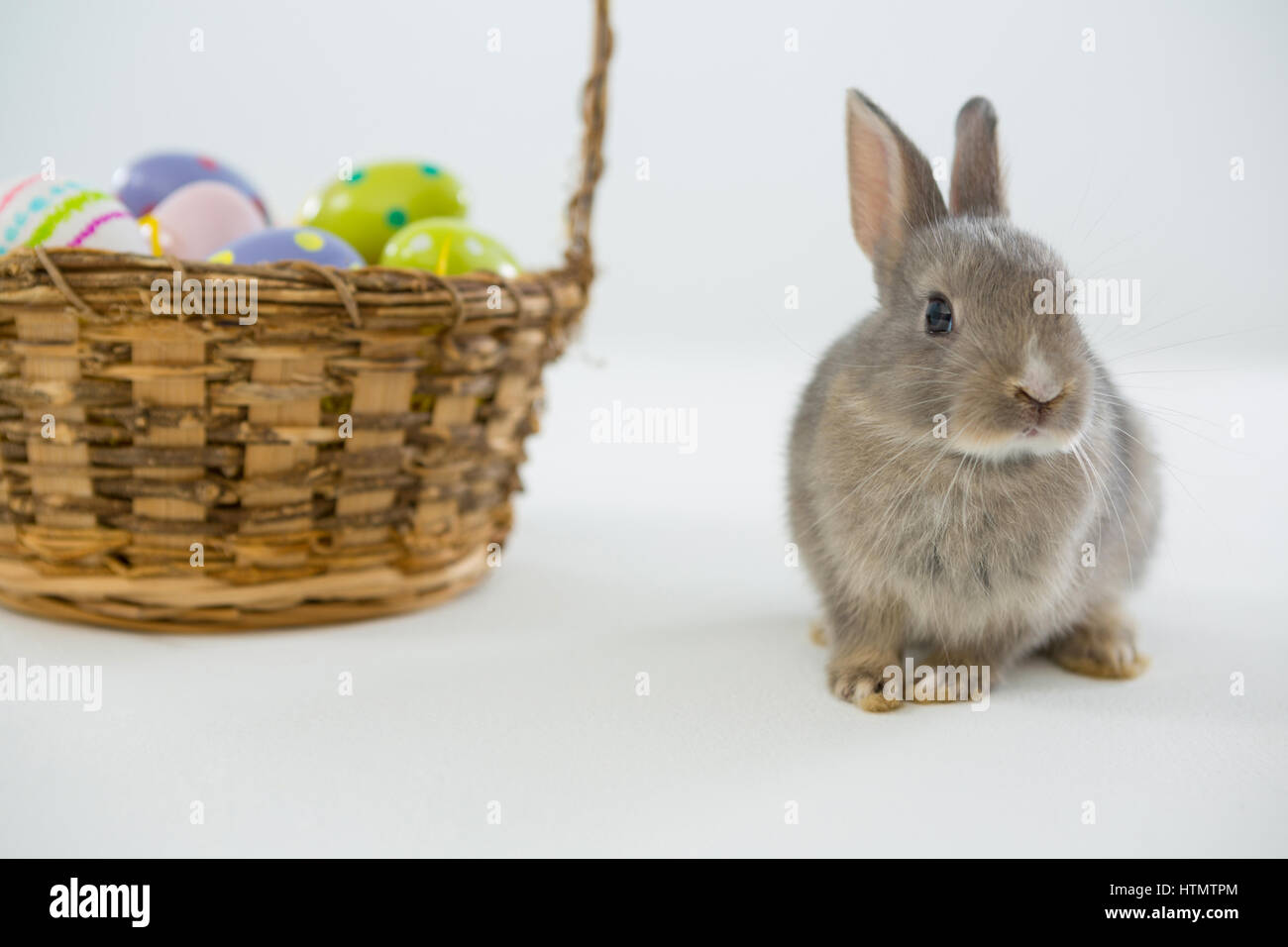Basket with Easter eggs and Easter bunny on white background Stock ...