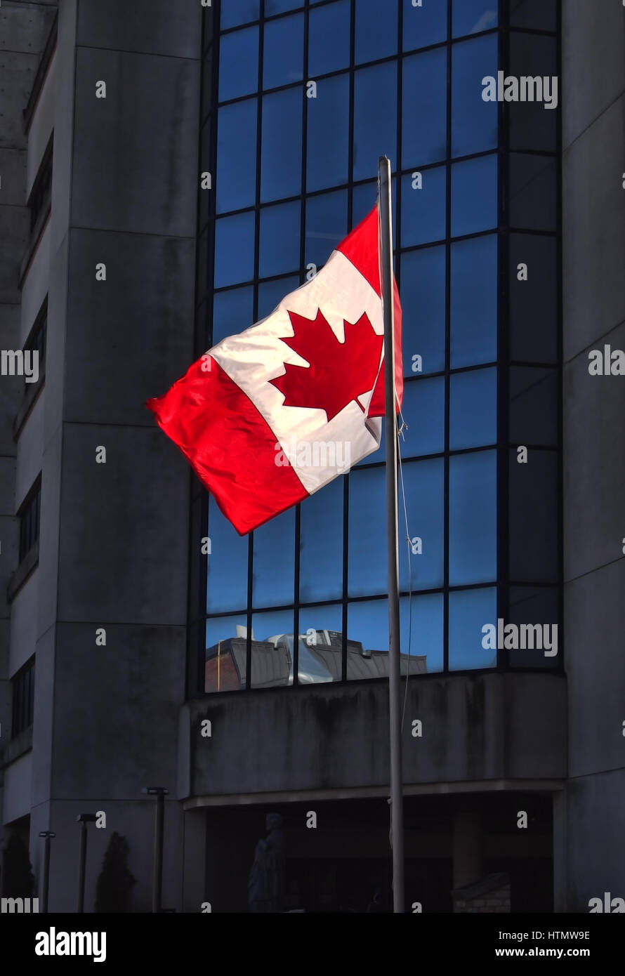 Canadian flag in front of office building Stock Photo