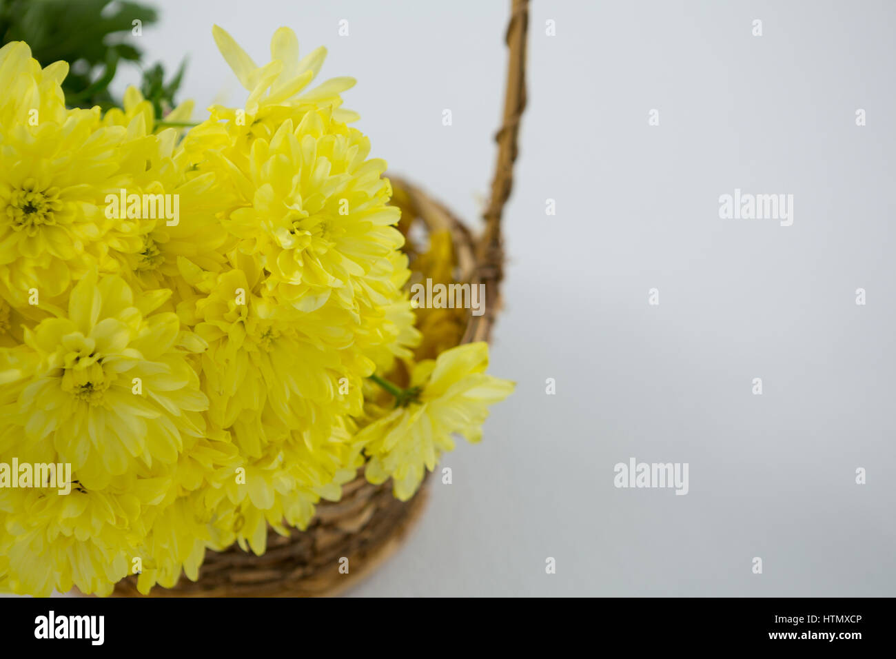 Close-up of yellow flowers in wicker basket on white background Stock ...