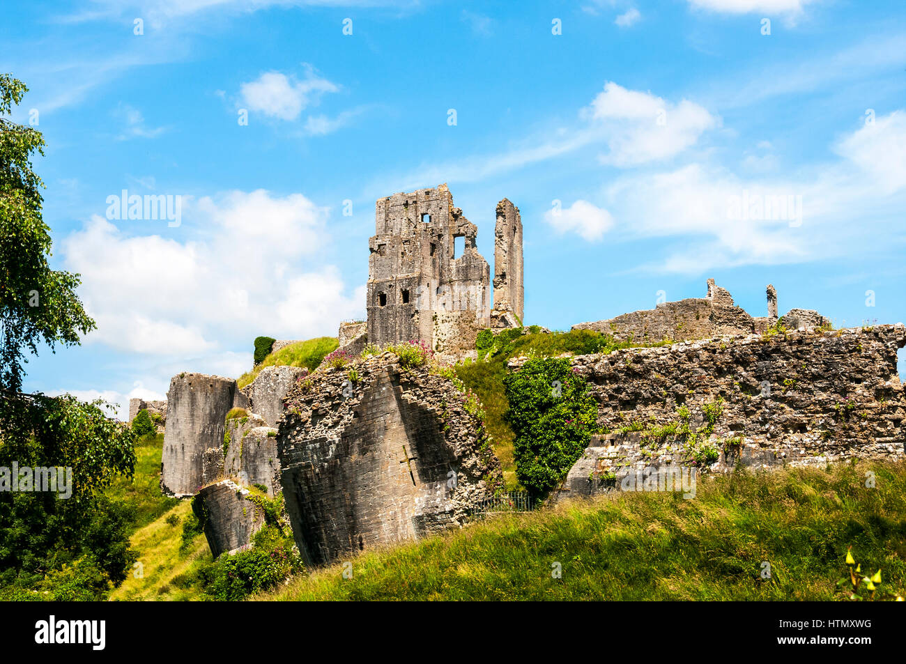 The Keep of the romantic ruins of 1000 year old Corfe Castle standing above fallen towers and walls, amid a profusion of wild flowers Stock Photo