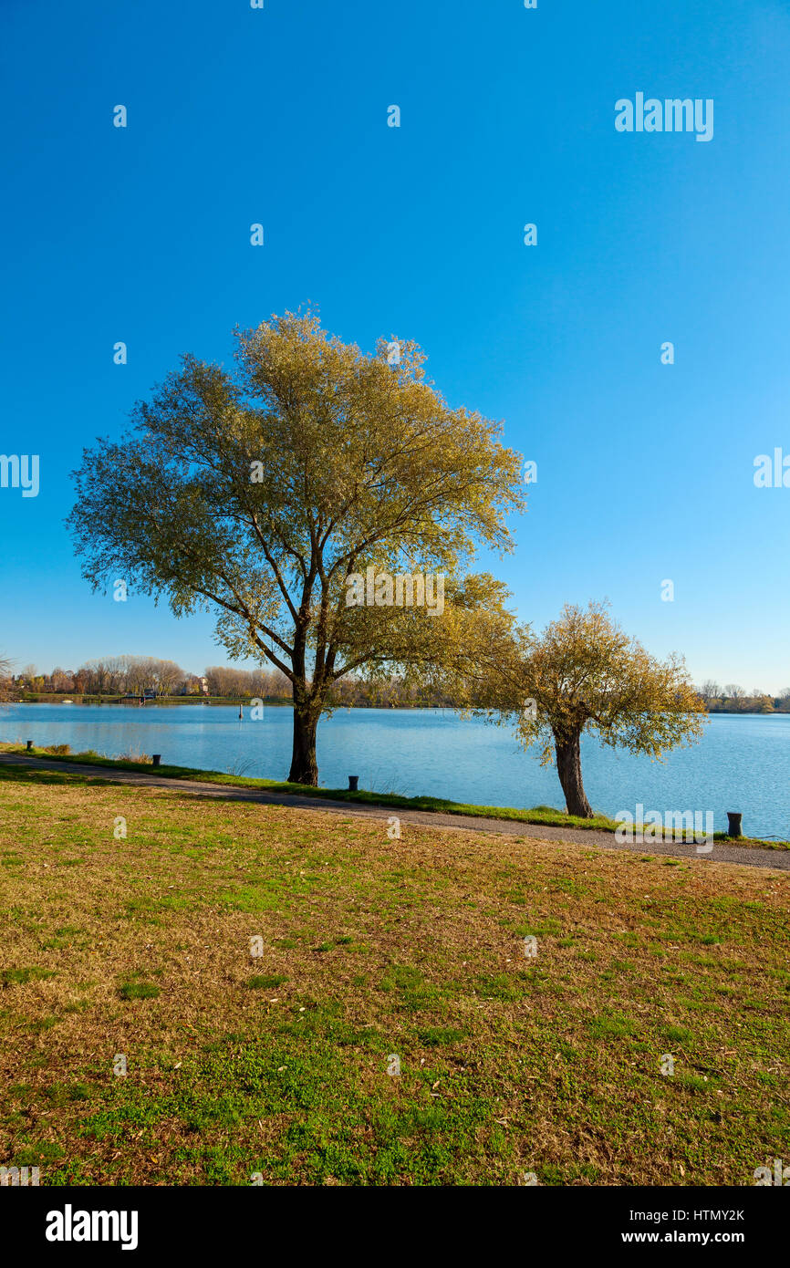 Beautiful autumn trees hi-res stock photography and images - Alamy