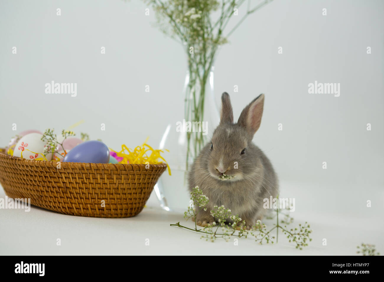 Basket with Easter eggs and Easter bunny on white background Stock ...