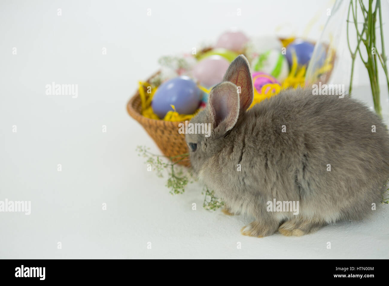 Basket with Easter eggs and Easter bunny on white background Stock ...