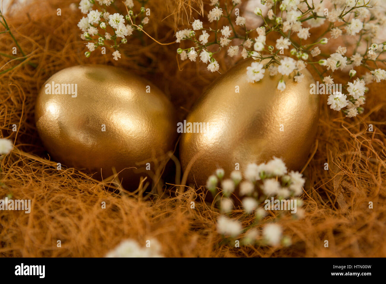 Golden easter eggs in nest against white background Stock Photo - Alamy