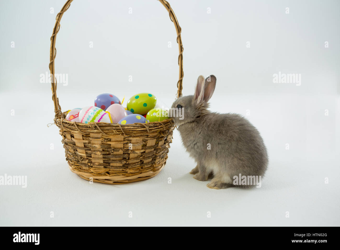Basket with Easter eggs and Easter bunny on white background Stock ...