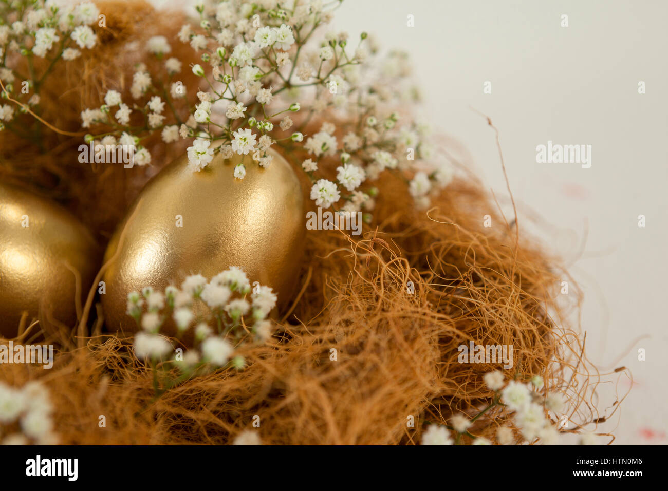 Golden easter eggs in nest against white background Stock Photo - Alamy
