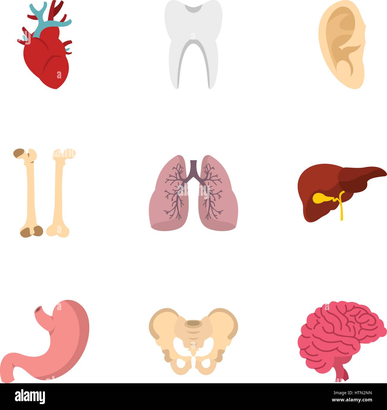 Internal Body Parts Icons Set Flat Illustration Of 9 Internal Body