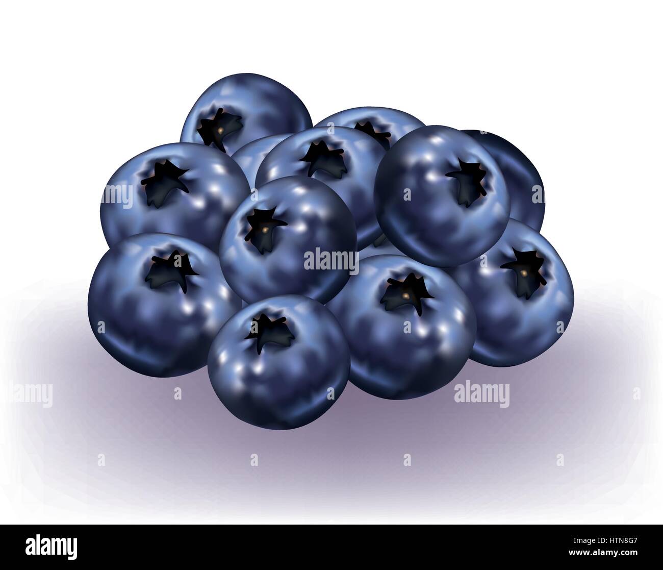Blueberries on white background Stock Vector