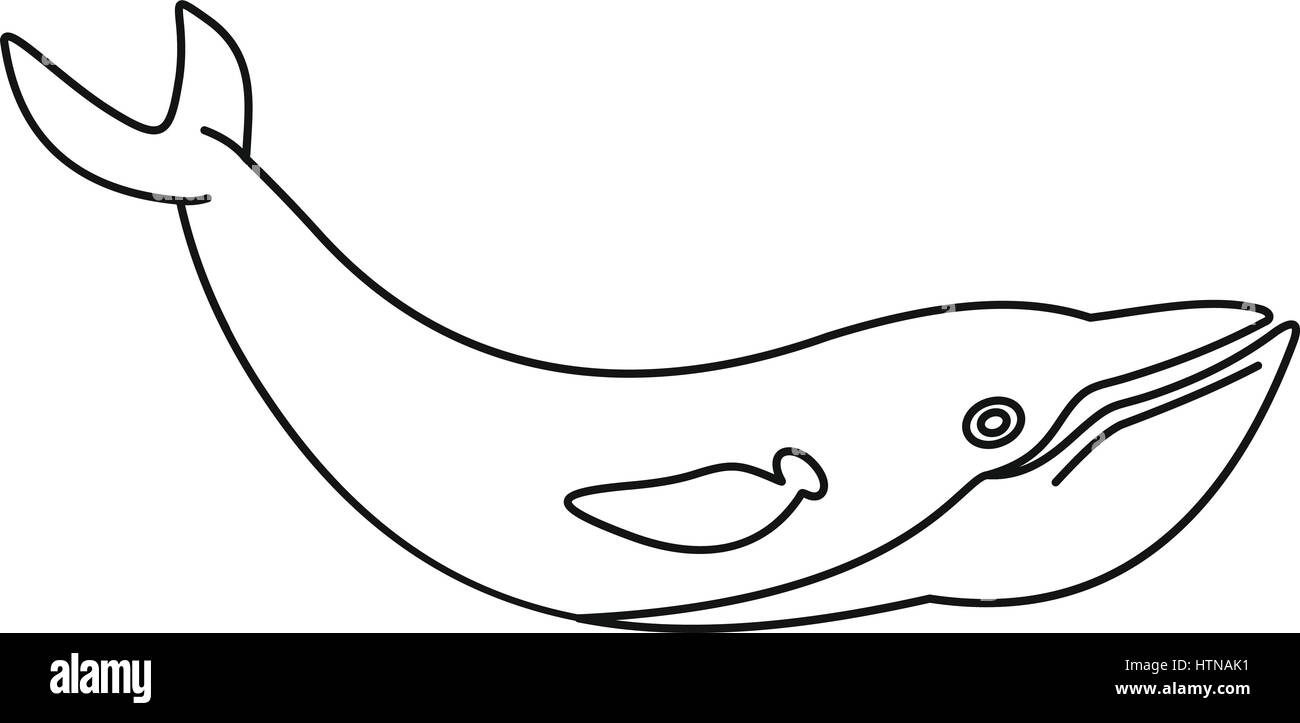 Featured image of post Whale Vector Outline Download 19 355 whale clip art and illustrations