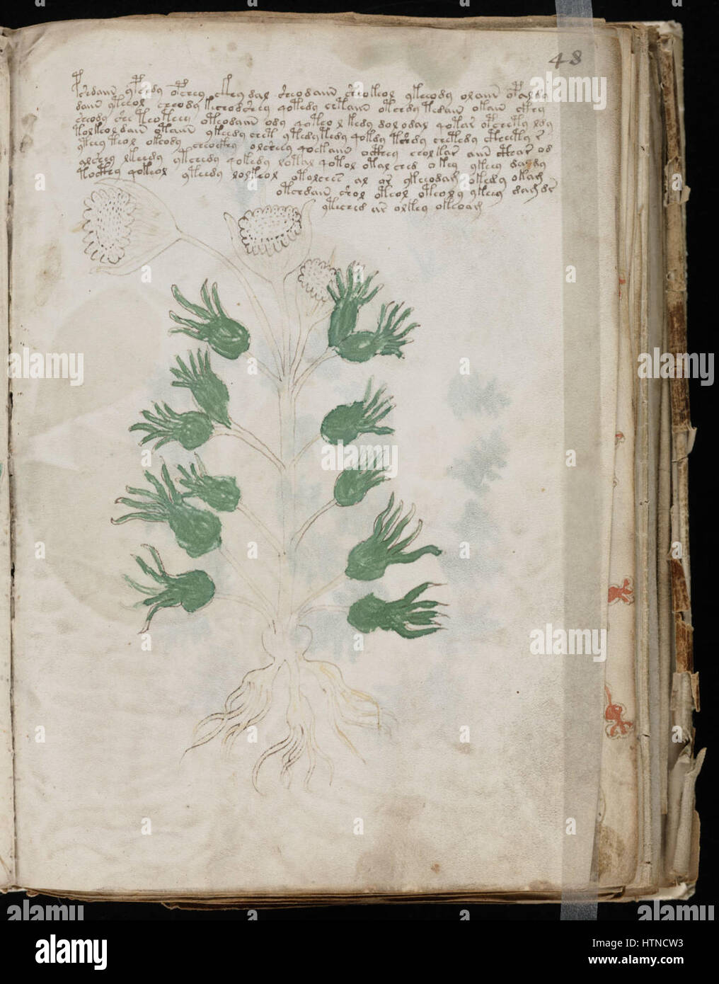 Indecipherable Writing Indecipherable writing hi-res stock photography and images - Alamy