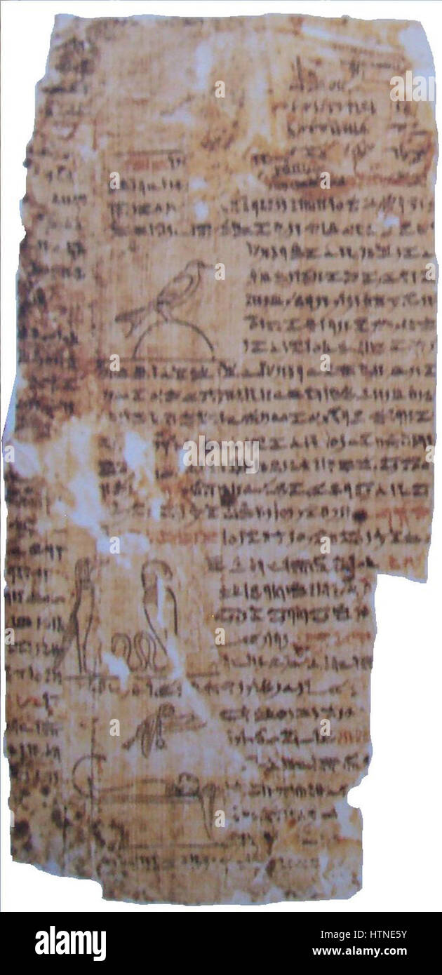 Papyrus surface hi-res stock photography and images - Alamy