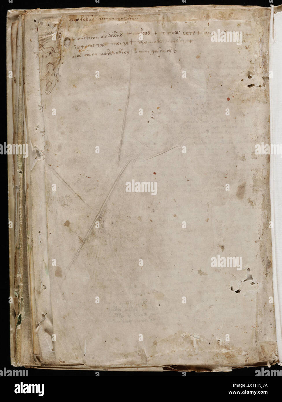 The Voynich Manuscript is an early 15th-century manuscript written in ...