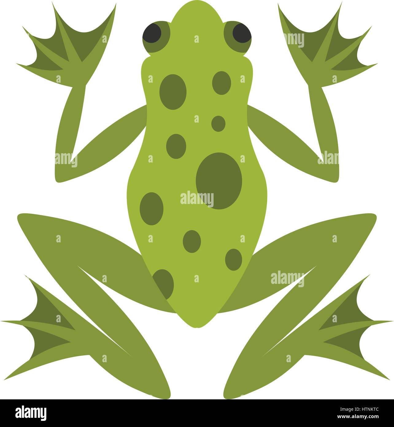 Frog icon in flat style isolated on white background vector ...
