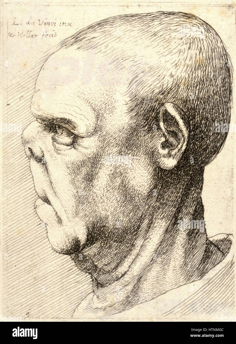 Wenceslas Hollar - Man with flattened nose and elongated upper lip Stock Photo