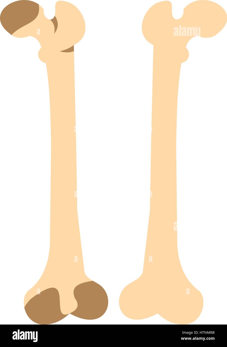 Bones icon in flat style isolated on white background vector ...
